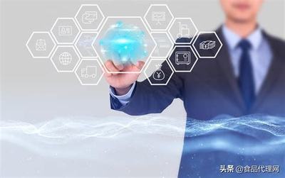 SEO軟件代理服務(wù)詳解 2024年核心概念、運(yùn)作模式與價(jià)值解析